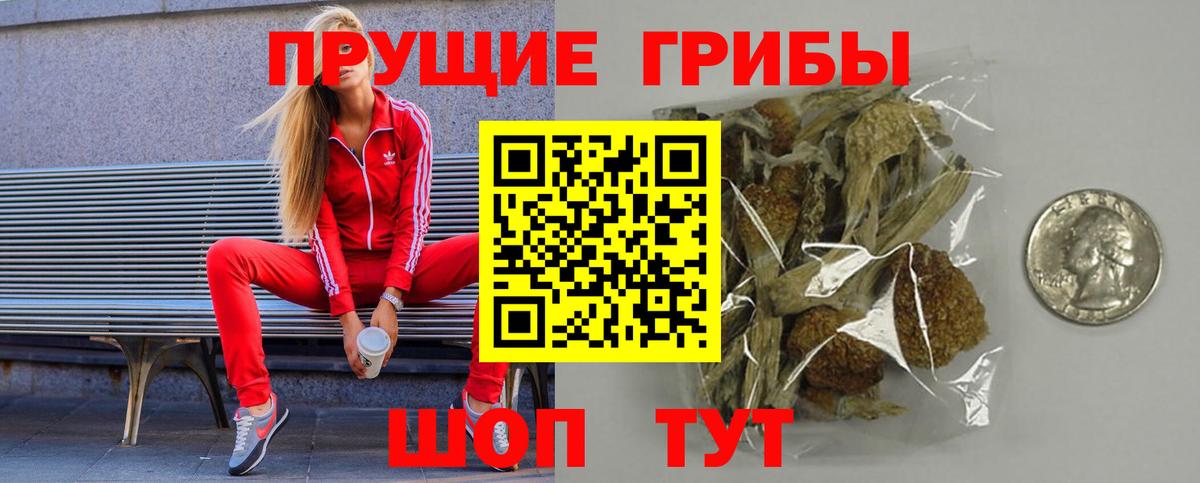 Псилоцибиновые грибы ЛСД Томск